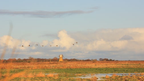 Heigham Holmes, Norfolk